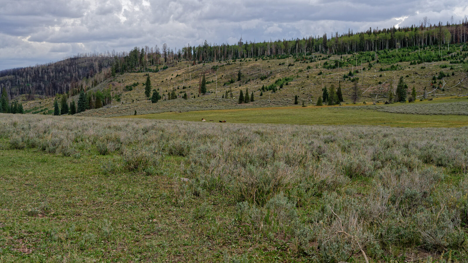 Waypoint 4