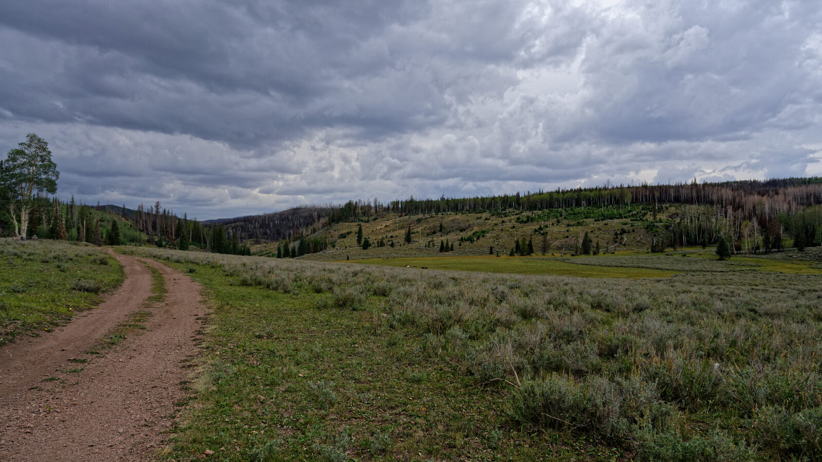 Waypoint 4