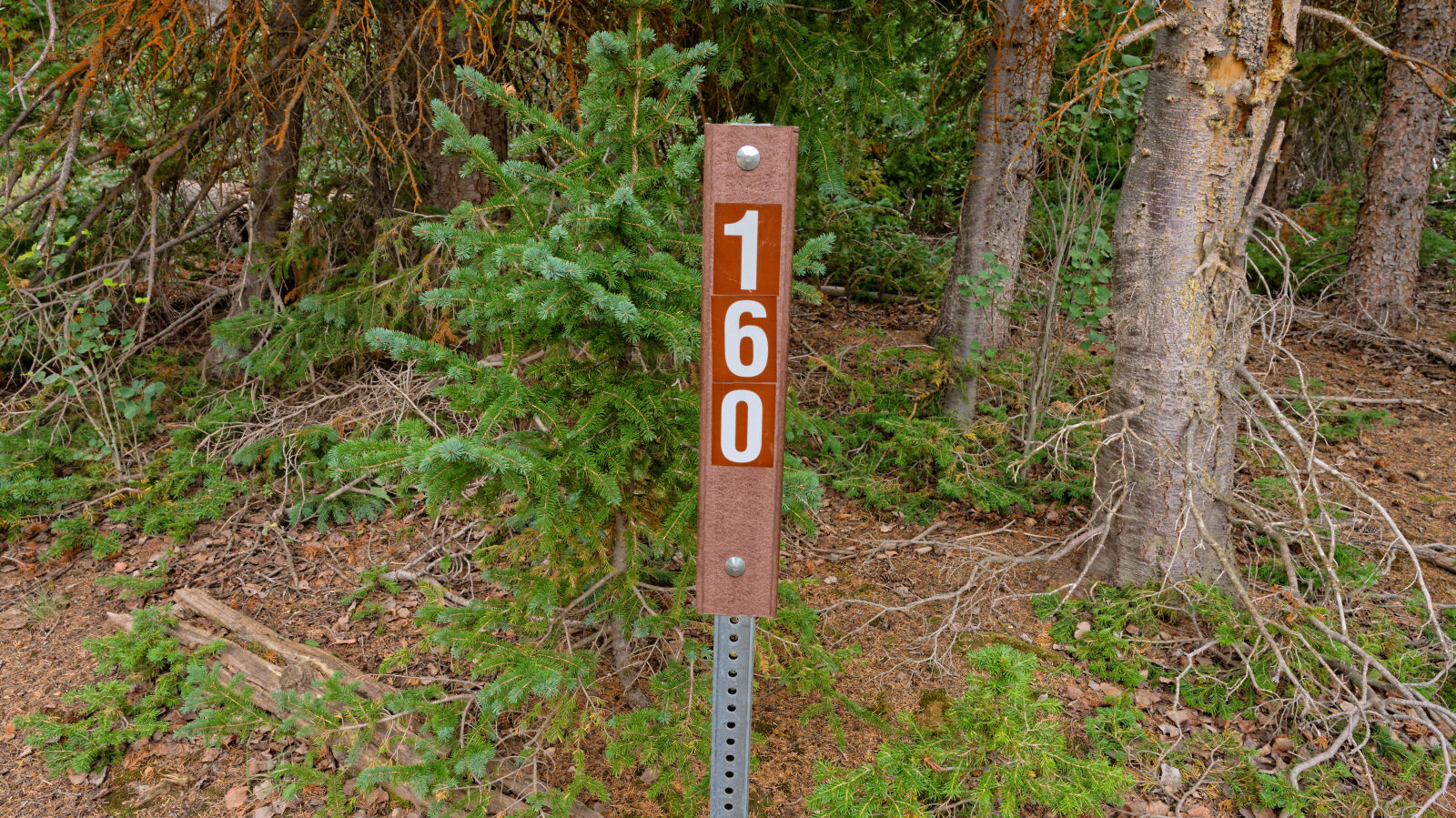 Start of Brindley Dairy, trail number 40160.