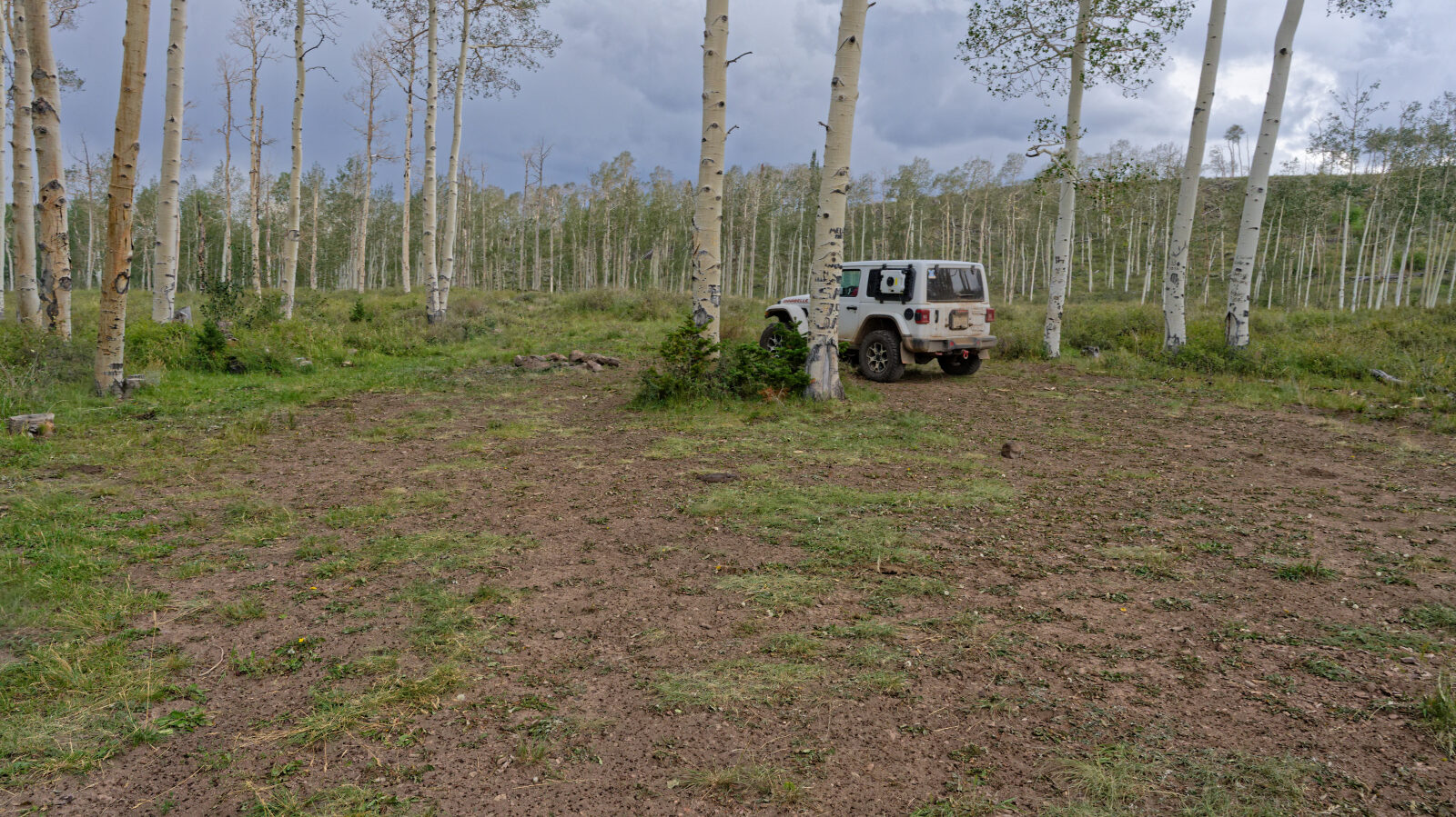 Waypoint 7