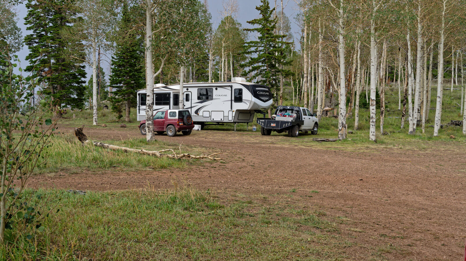 Camping spot with trees, a little shade and no privacy. Large enough for four or five rigs with trailers.
