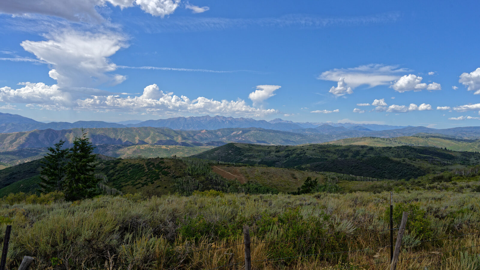 Waypoint 11