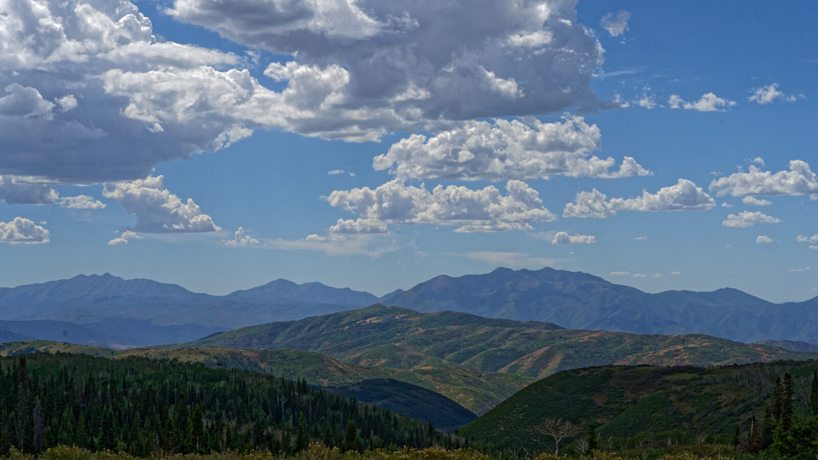 A camping spot with plenty of room for multiple rigs. There are many more along this road.