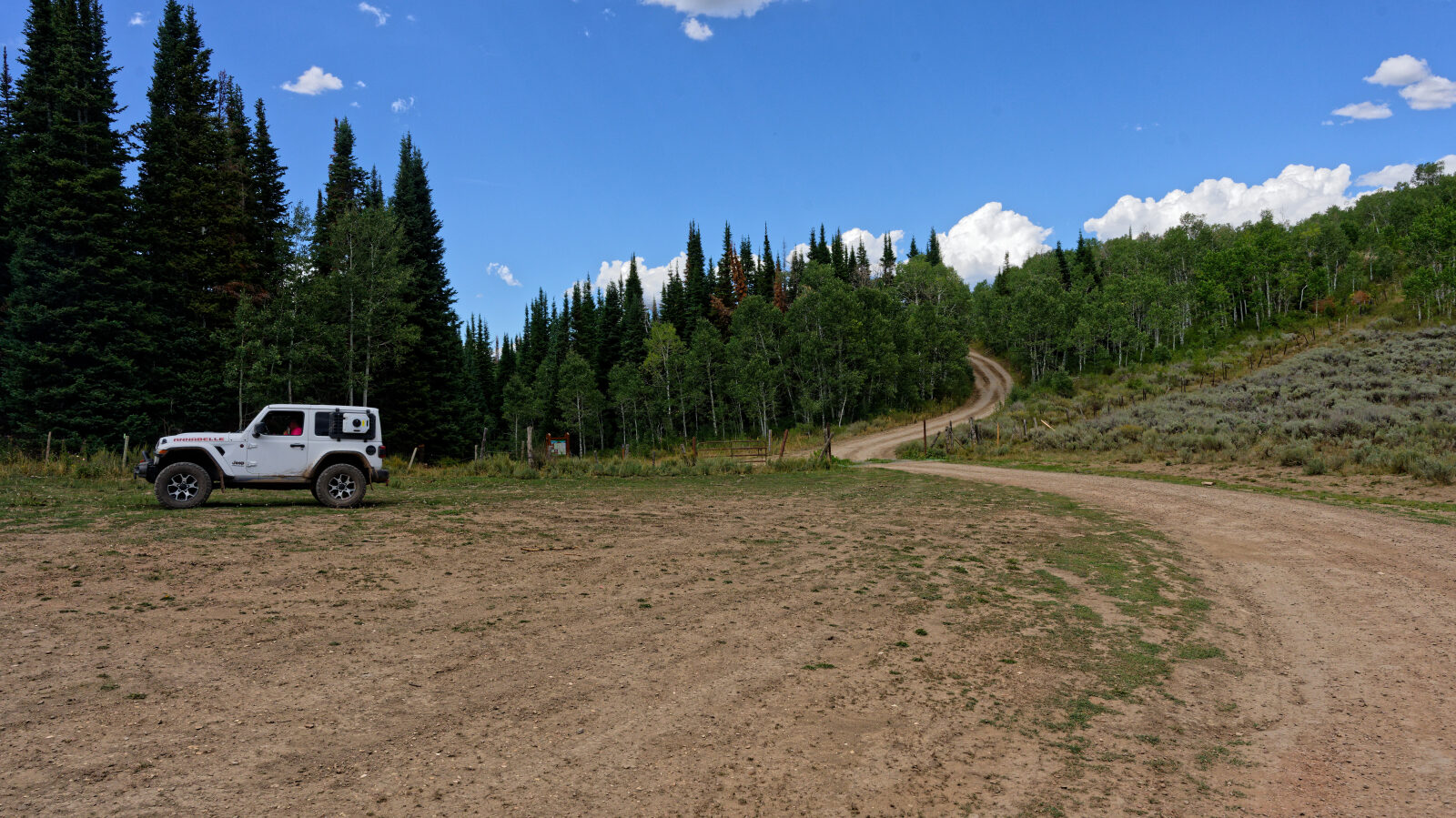 A camping spot next to the road. It is not private and gets afternoon shade.