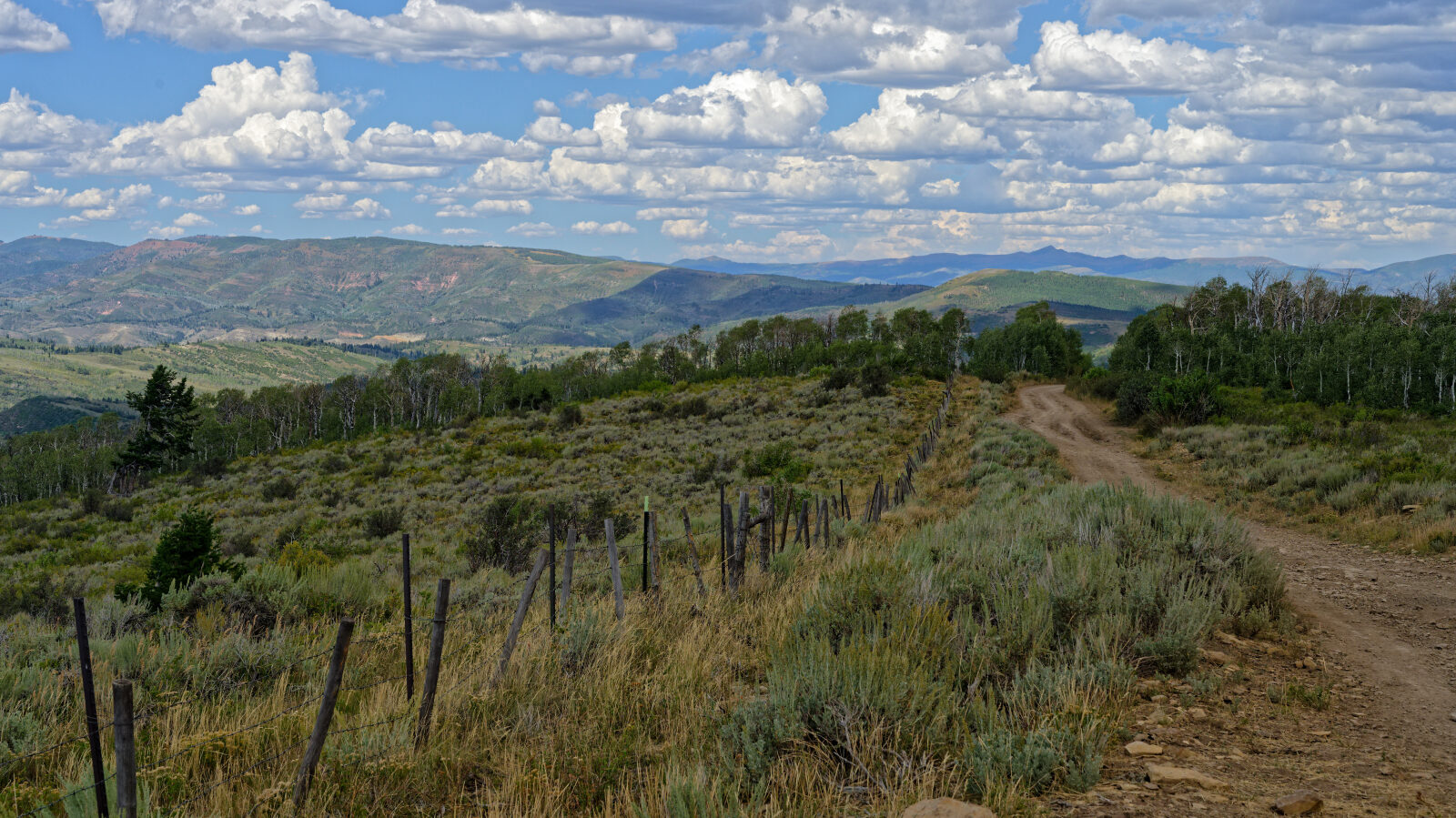 Waypoint 12