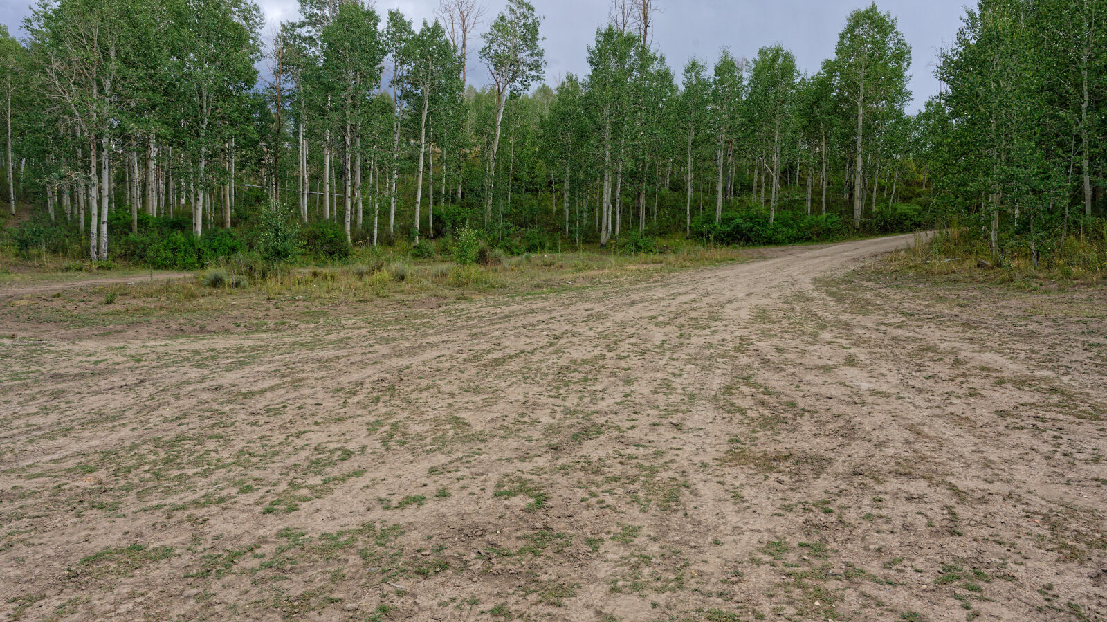 Start of Indian Springs, trail 70501.
