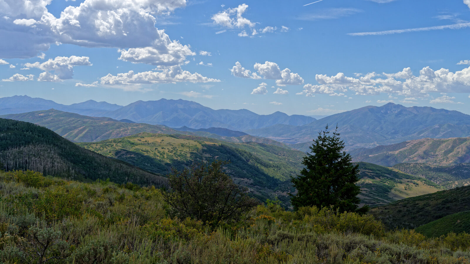 Waypoint 12