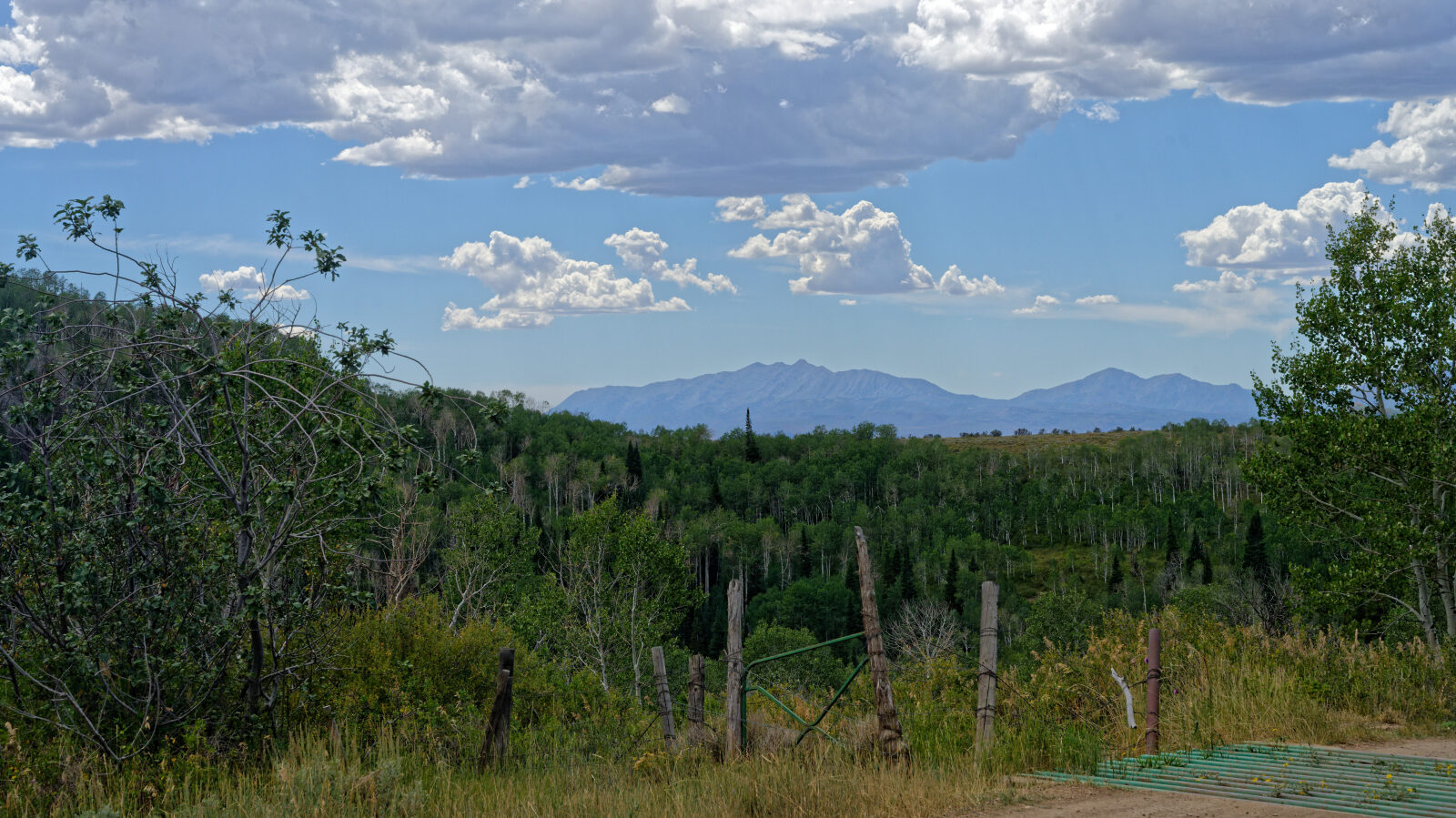 Waypoint 6