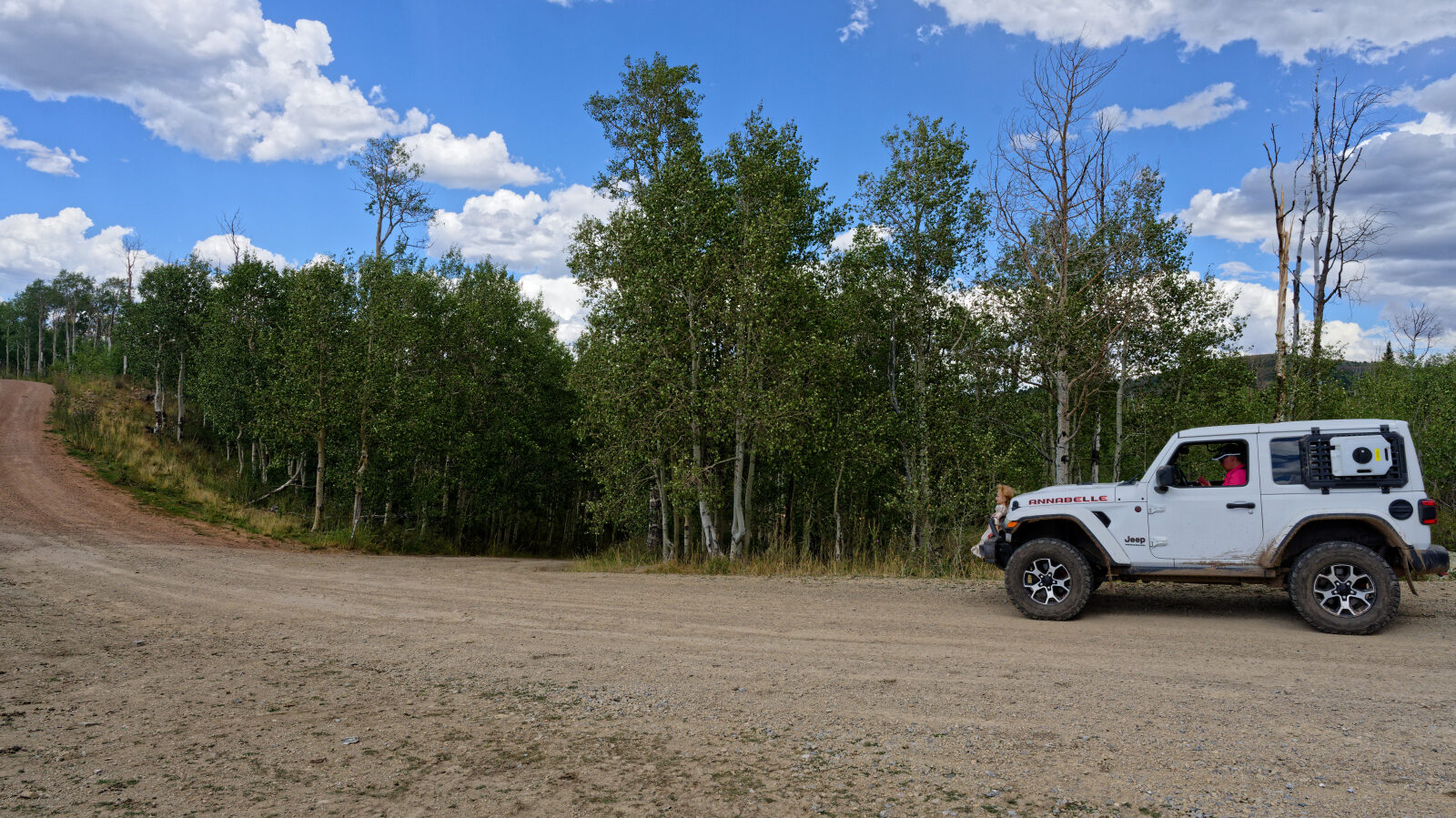 Start of Indian Springs, trail 70501.