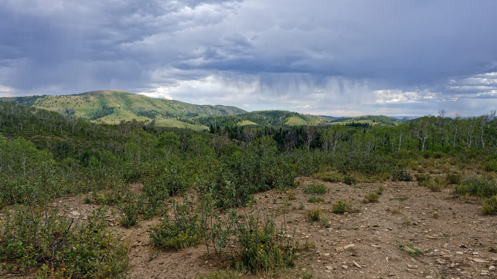 Waypoint 6