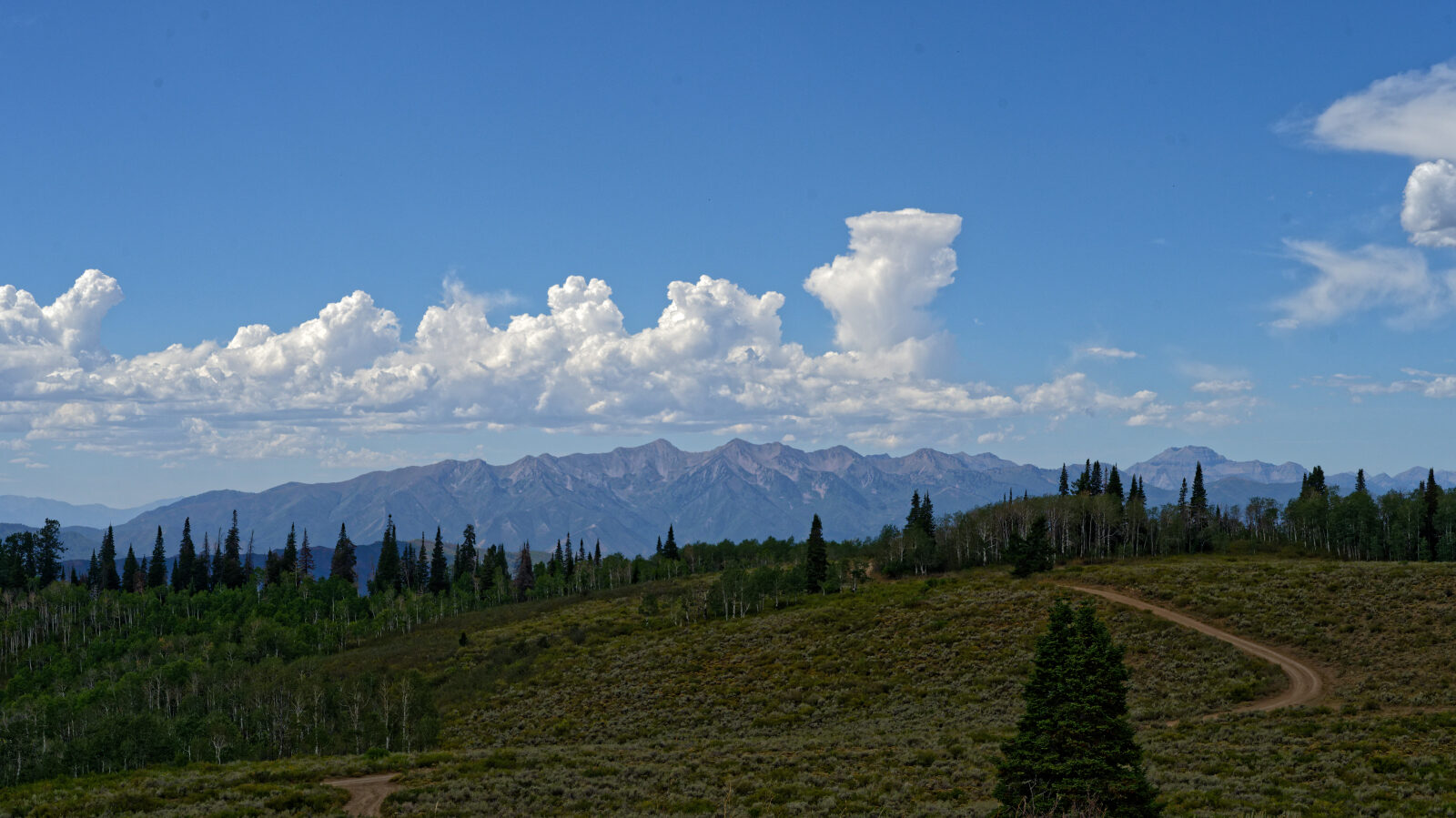 A camping spot with plenty of room for multiple rigs. There are many more along this road.