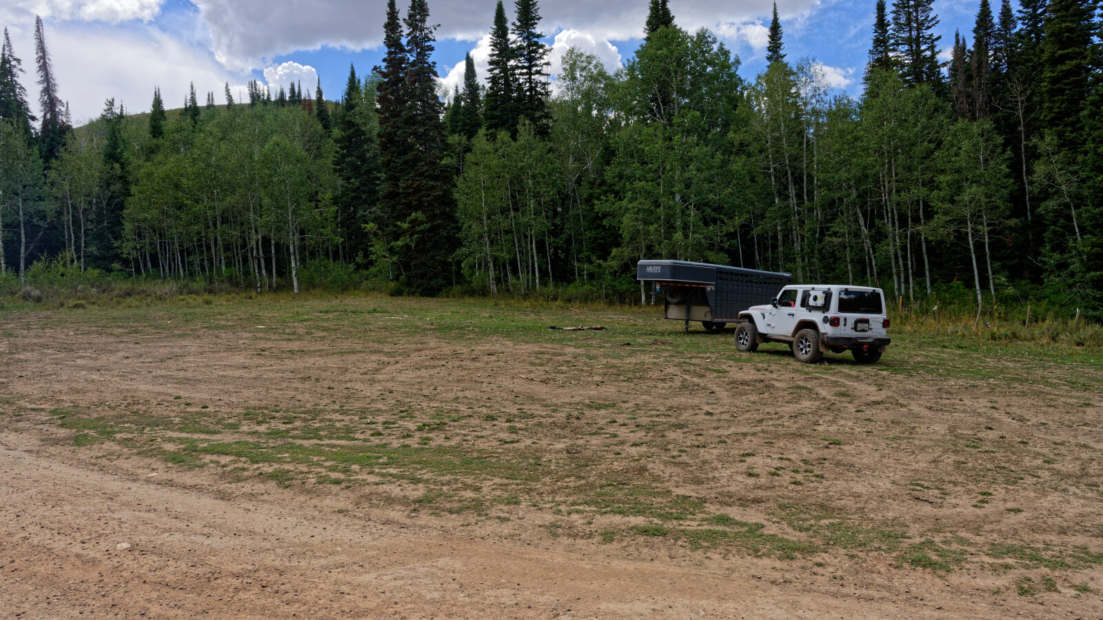 A camping spot next to the road. It is not private and gets afternoon shade.