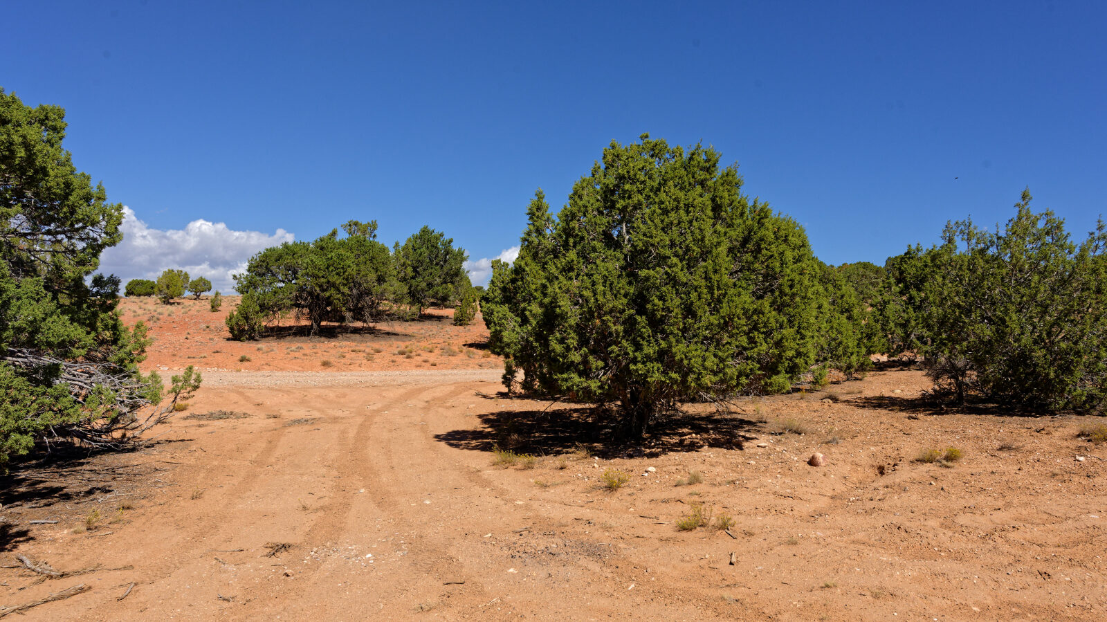 A camping spot for one or two smaller rigs. Large rigs cannot get into it.