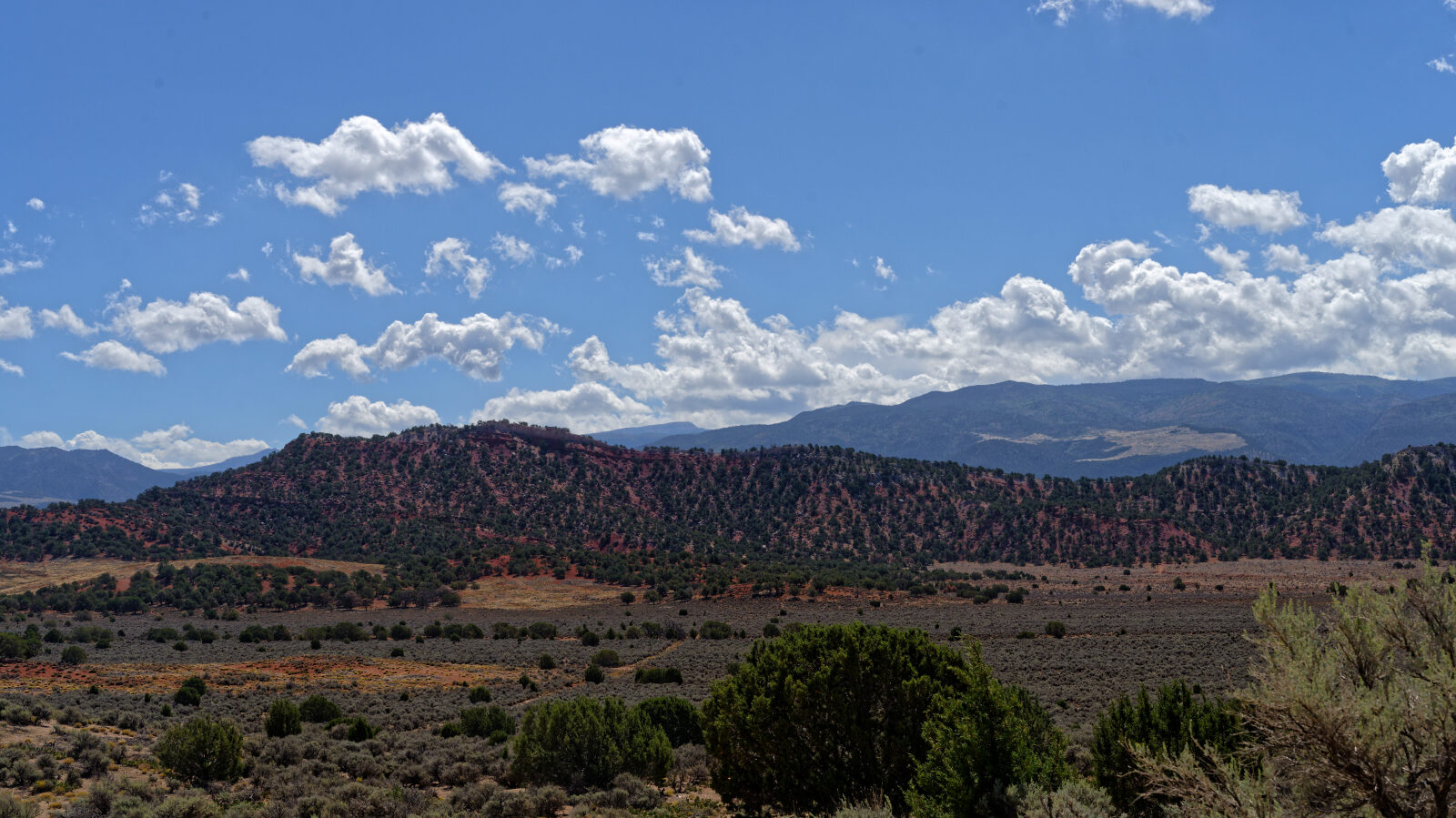 Waypoint 6
