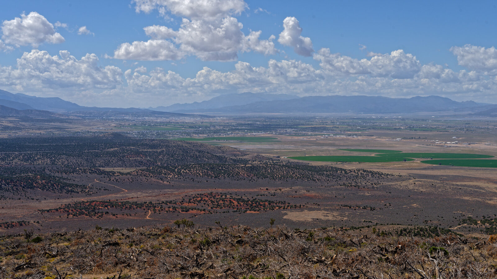 The steep section is a shelf road, so watch for oncoming traffic. The top has a turnaround and a great view, usually with several Jeeps parked.