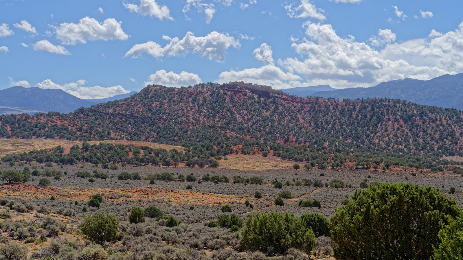 Waypoint 6