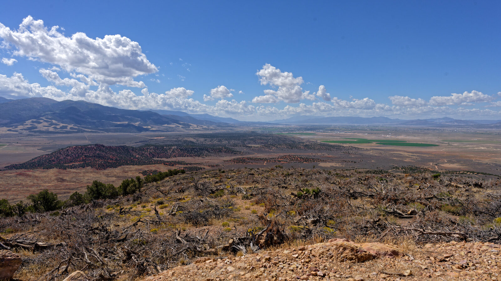 The steep section is a shelf road, so watch for oncoming traffic. The top has a turnaround and a great view, usually with several Jeeps parked.