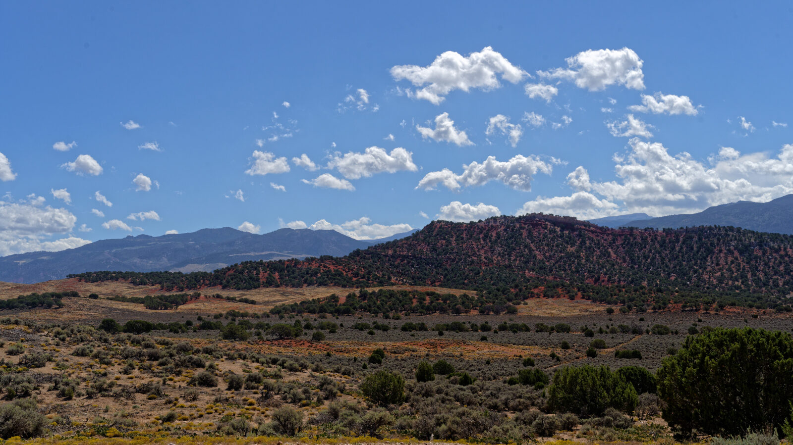 Waypoint 6