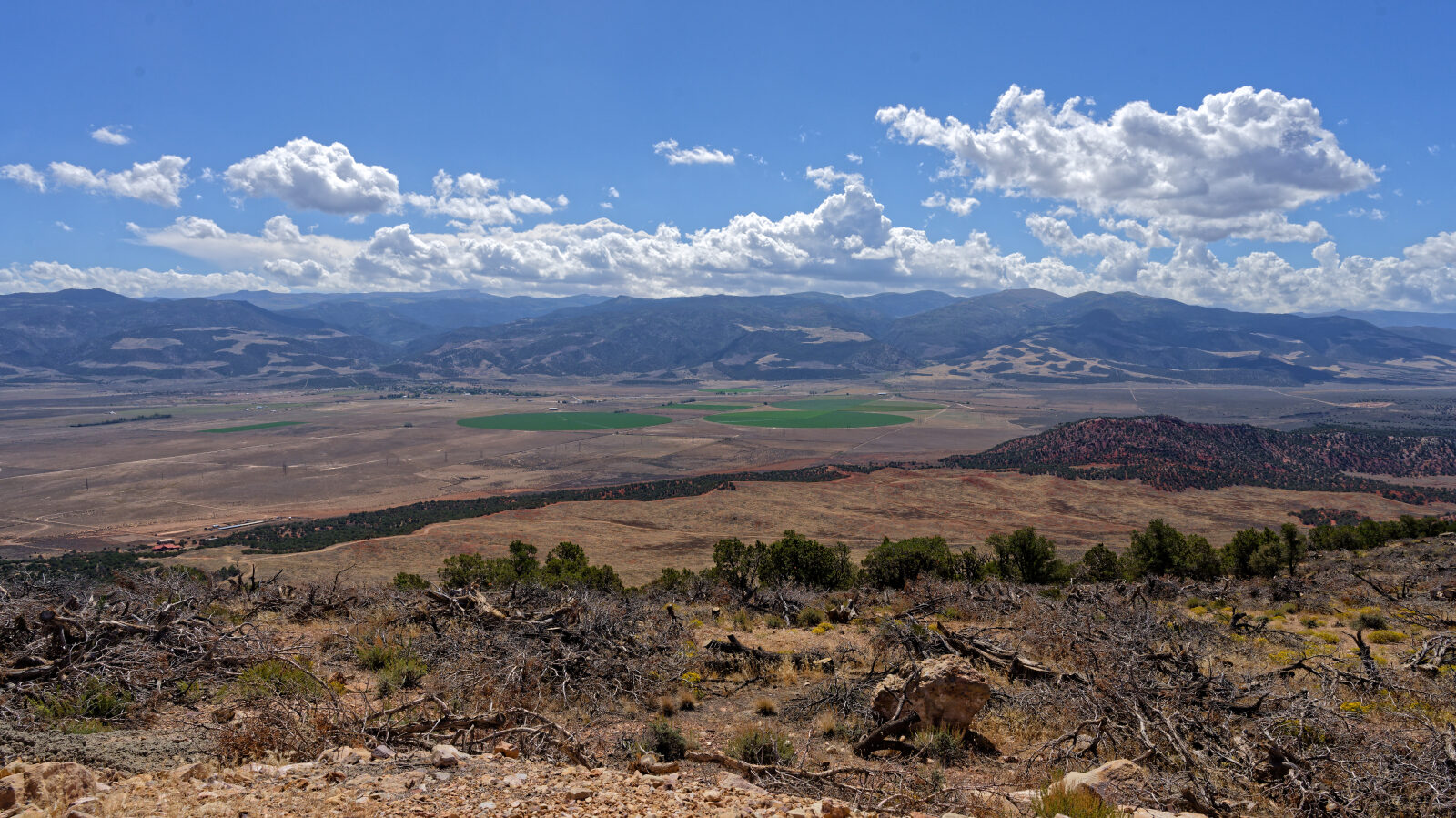 The steep section is a shelf road, so watch for oncoming traffic. The top has a turnaround and a great view, usually with several Jeeps parked.