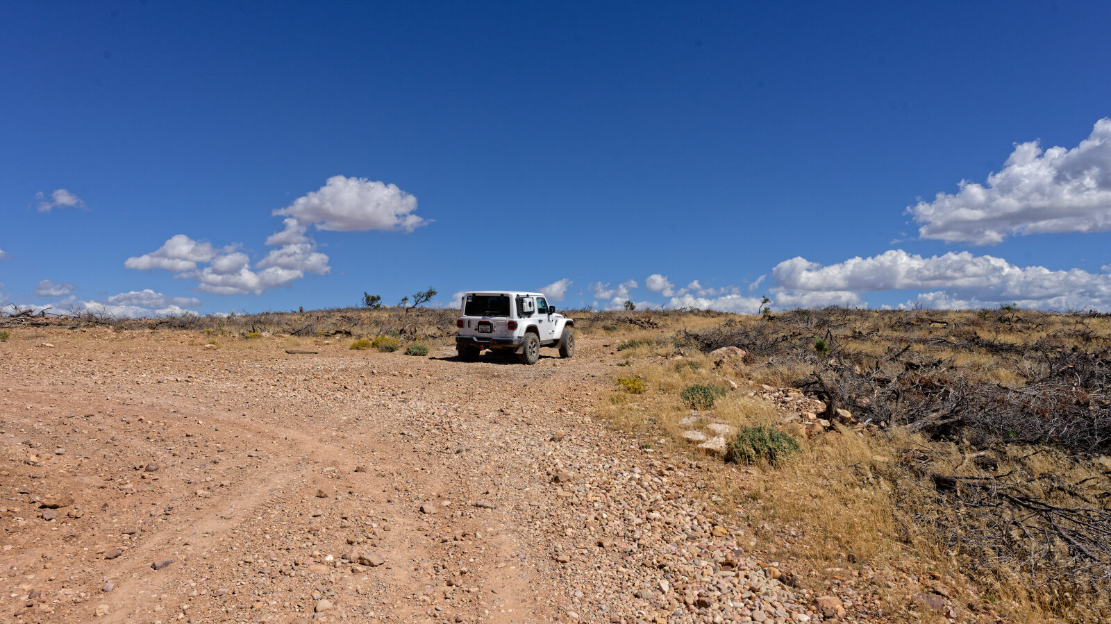 Start of Red Hills Radio Tower Trail Road. The log marks a Level 1 hard spot here.