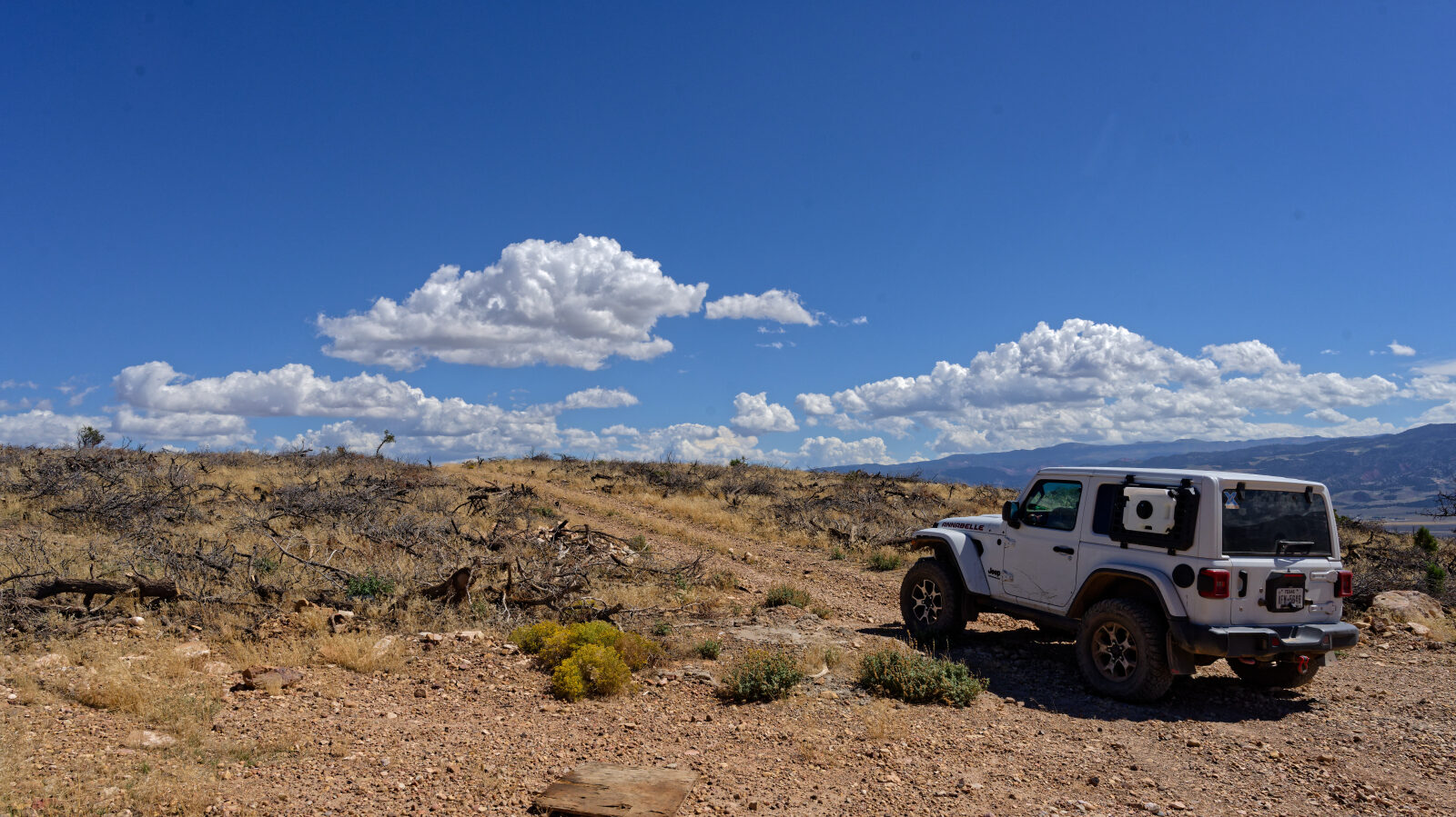 Start of Red Hills Radio Tower Trail Road. The log marks a Level 1 hard spot here.