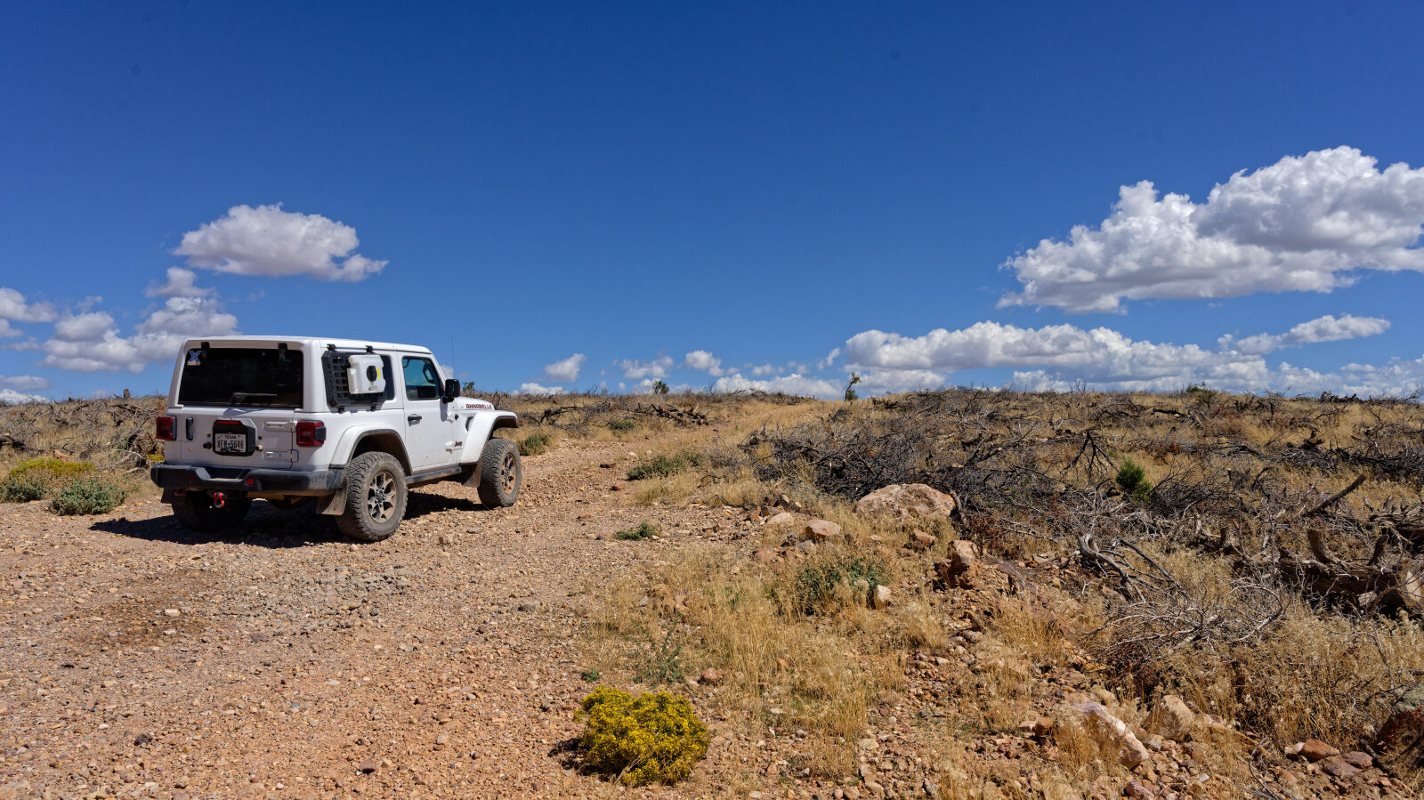Start of Red Hills Radio Tower Trail Road. The log marks a Level 1 hard spot here.