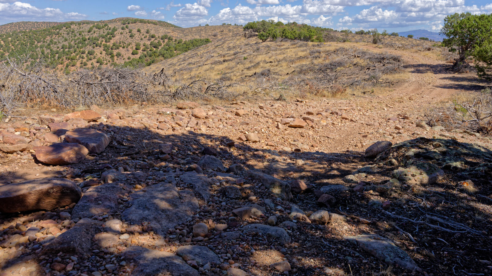 Start of Red Hills Radio Tower Trail Road. The log marks a Level 1 hard spot here.
