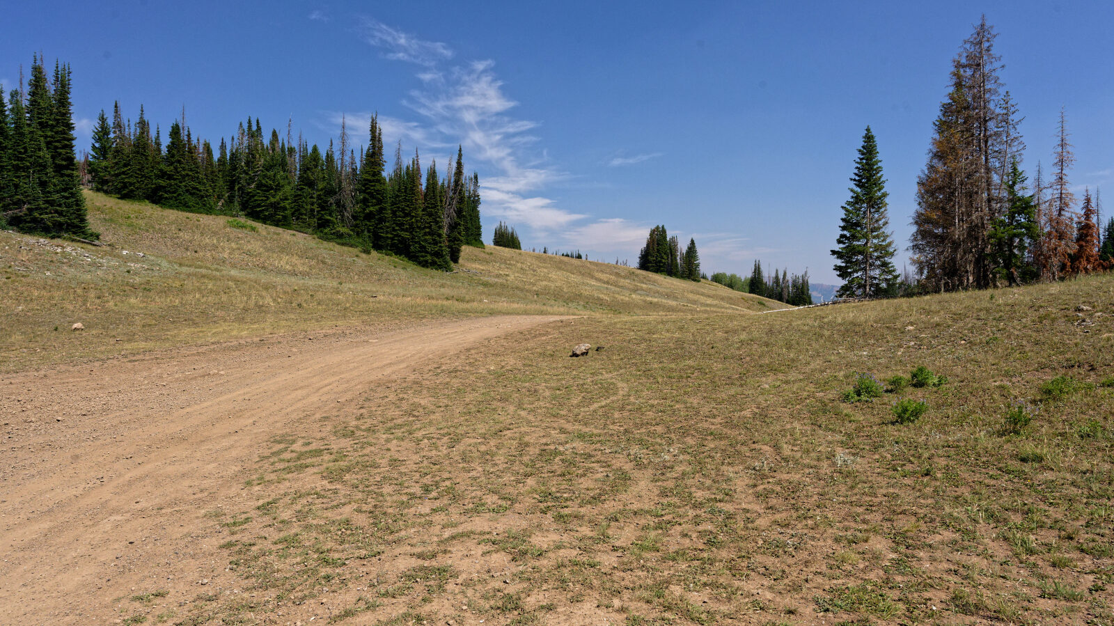 Waypoint 3