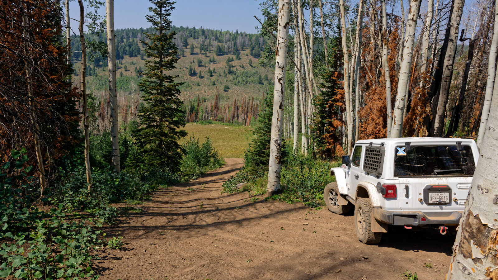 Waypoint 3