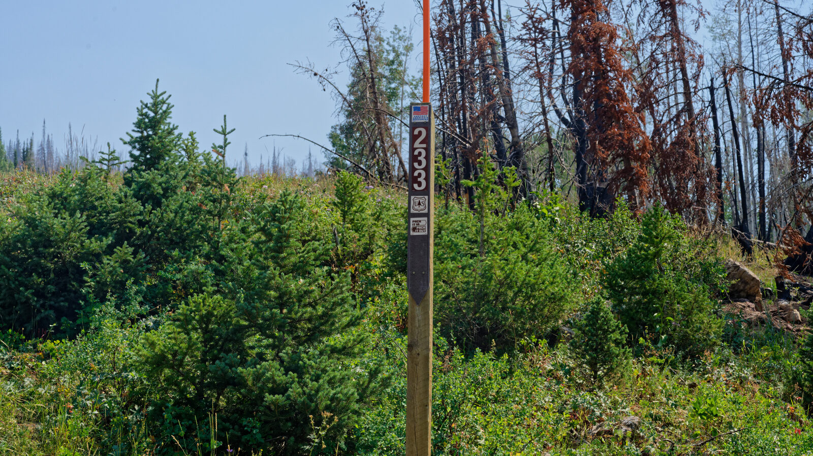 Waypoint 1