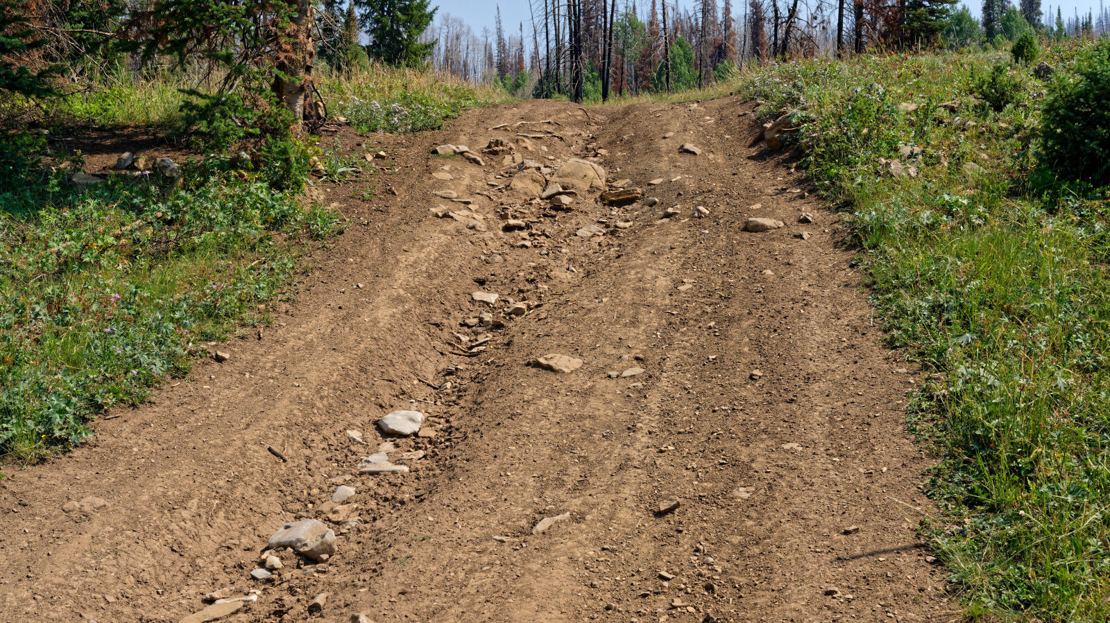 Waypoint 1