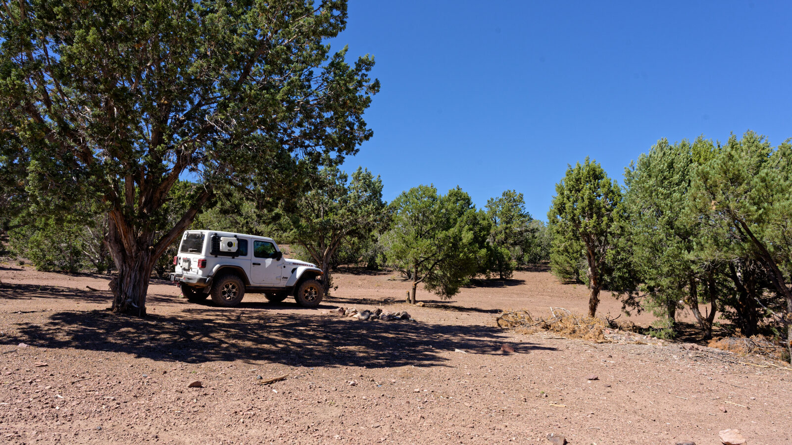 Camp spot with room for one or two rigs, a little shade and a little privacy.