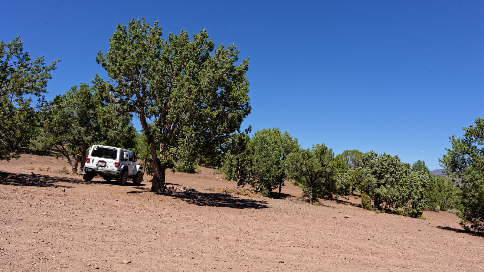 Camp spot with room for one or two rigs, a little shade and a little privacy.
