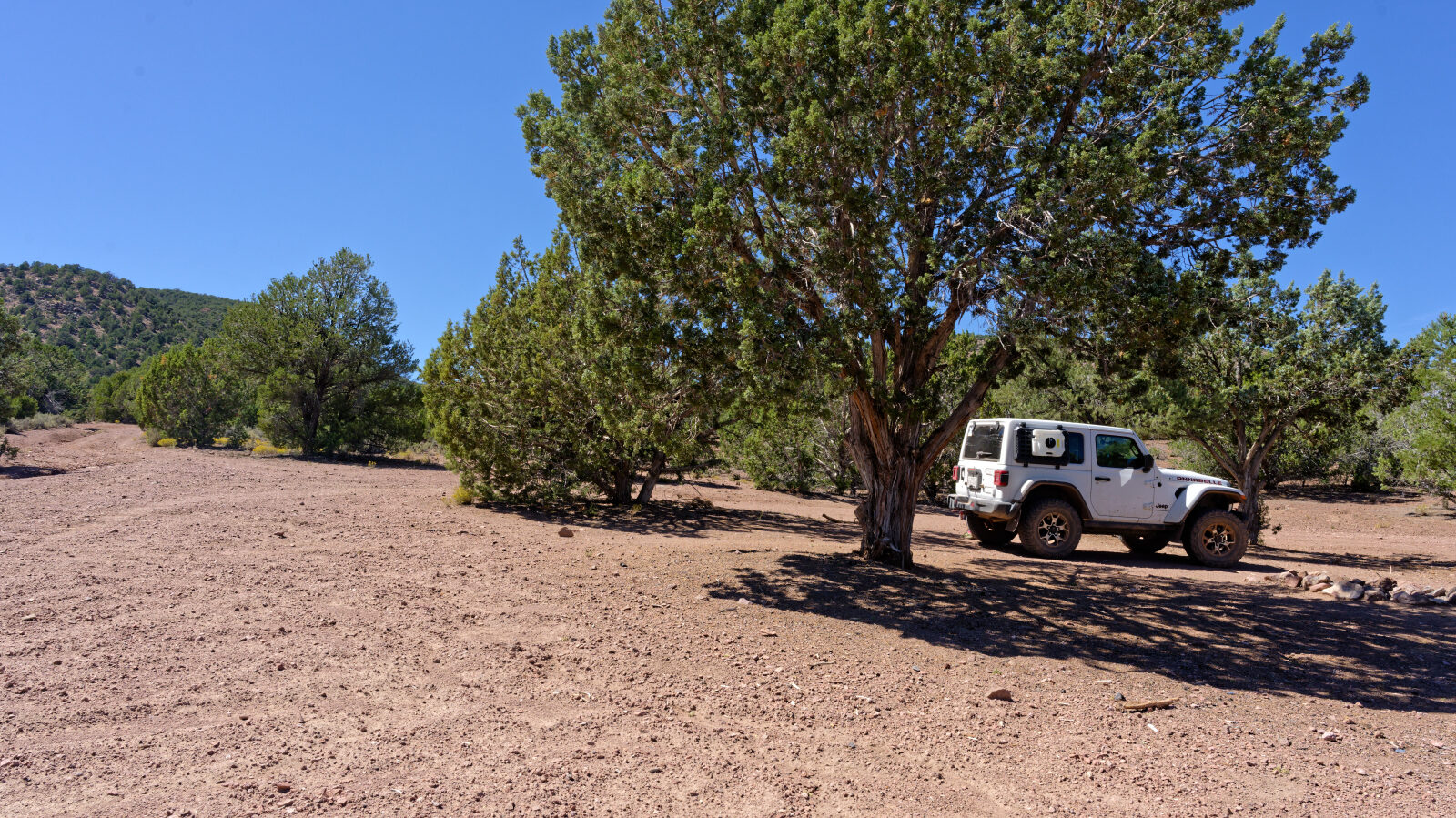 Camp spot with room for one or two rigs, a little shade and a little privacy.