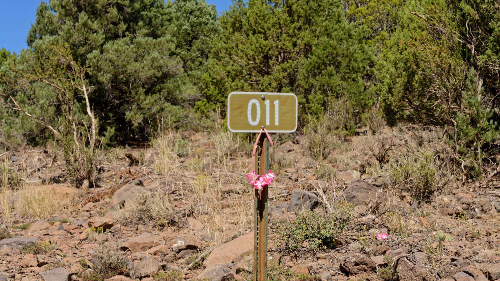 Start of Forest Service Road 30011, also known as Grass Valley Road. Level 1 difficulty here.