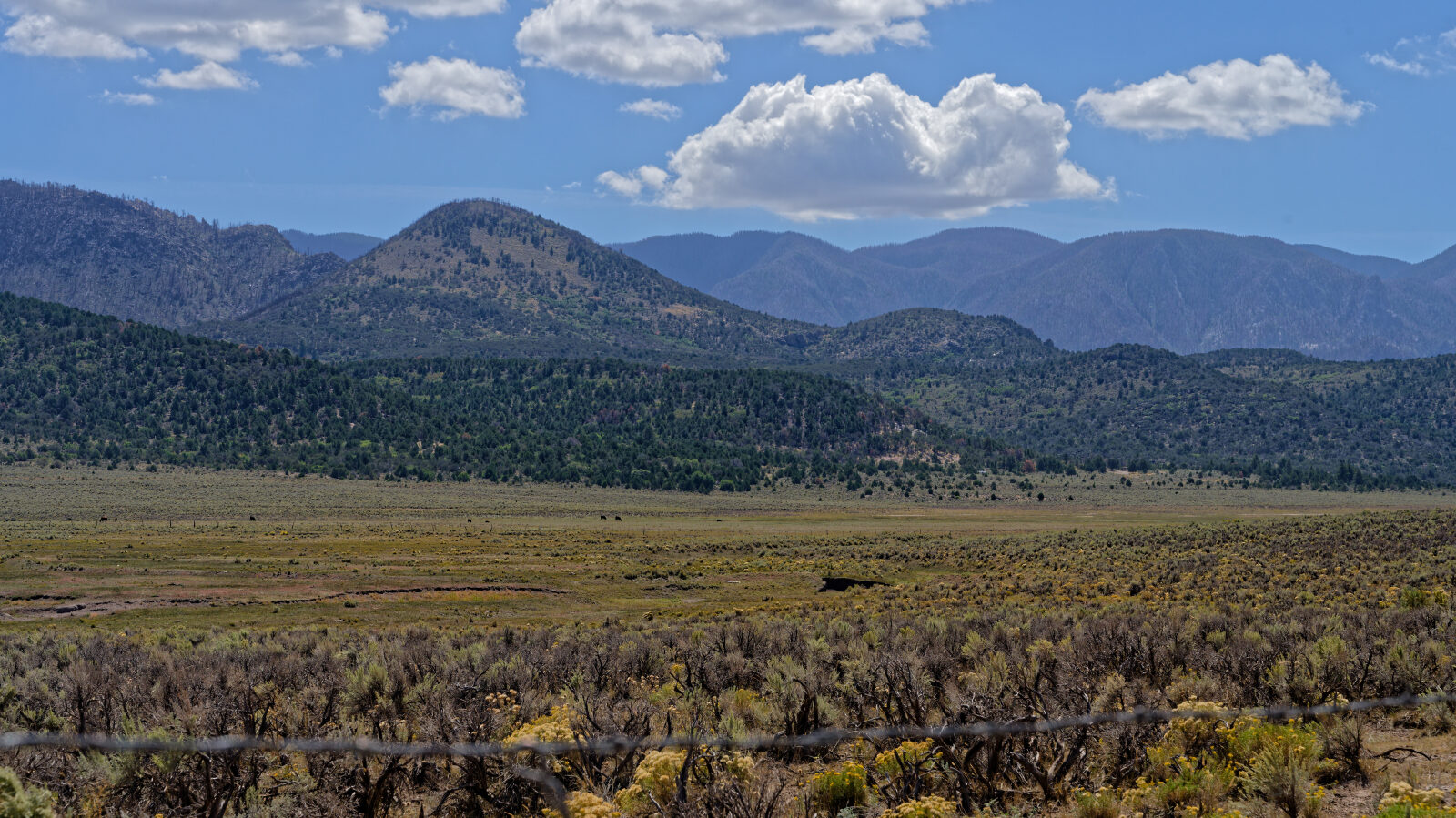 Waypoint 2