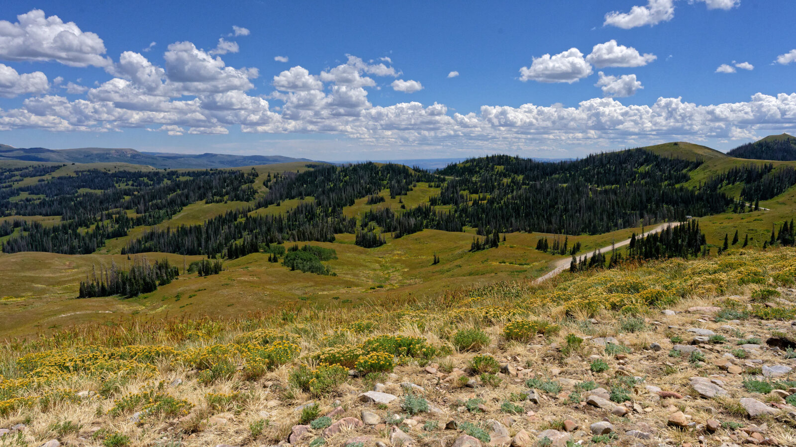 Waypoint 11