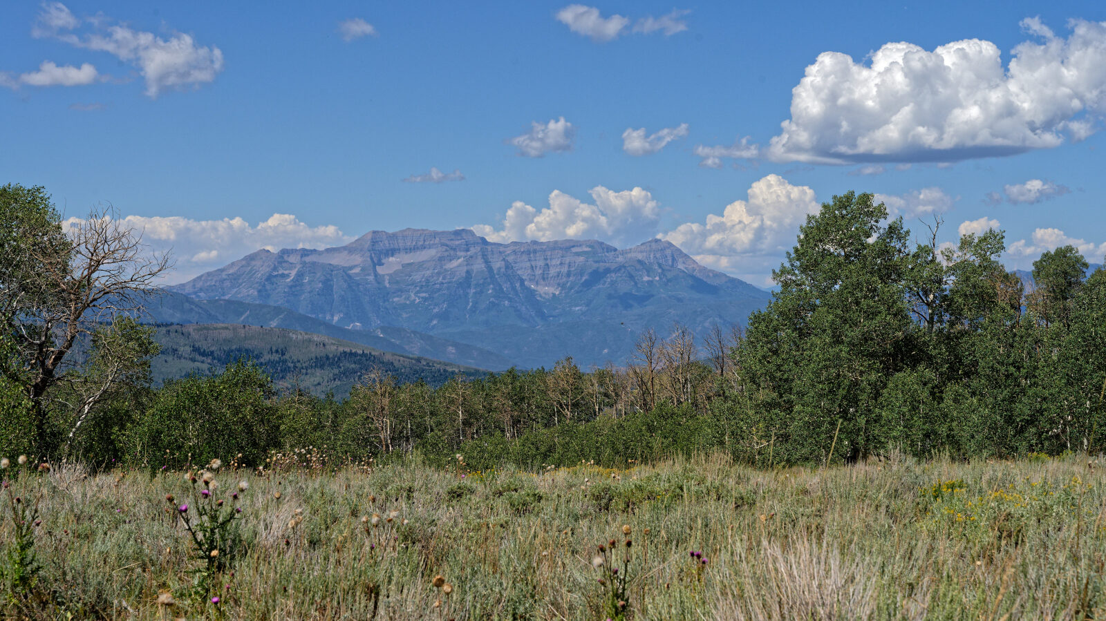 Waypoint 2