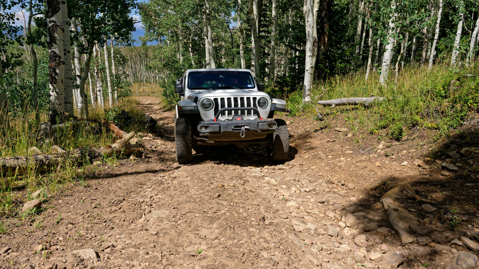 Waypoint 5