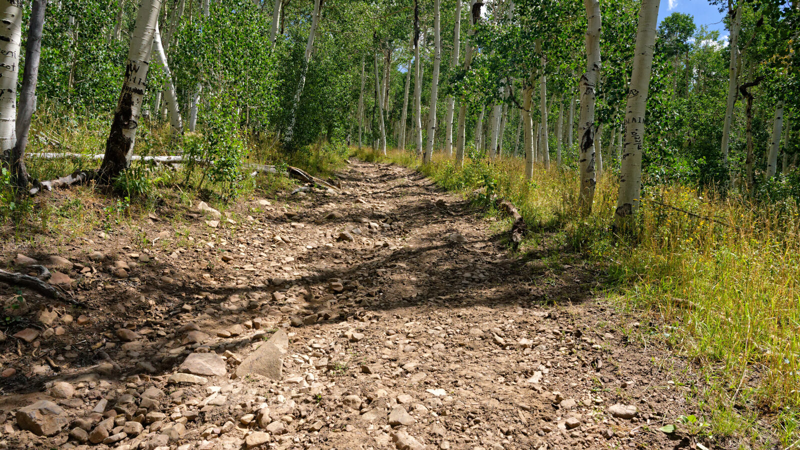 Waypoint 5