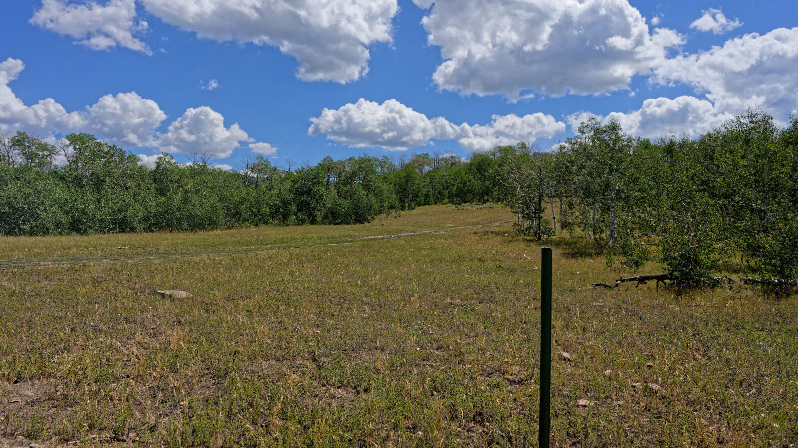 Waypoint 1