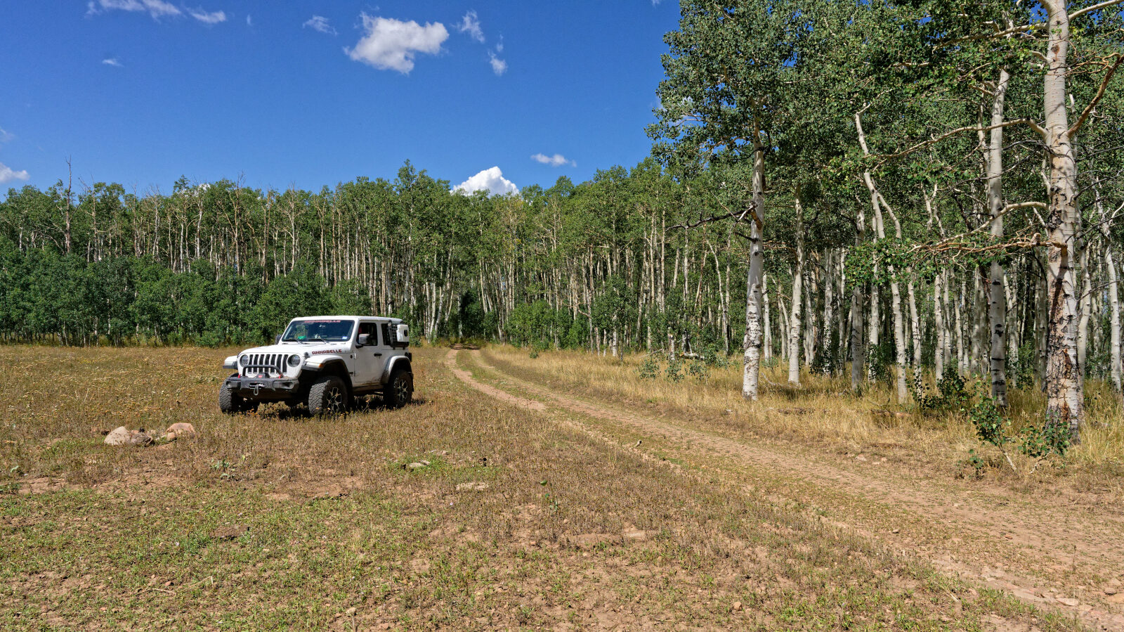 Waypoint 4
