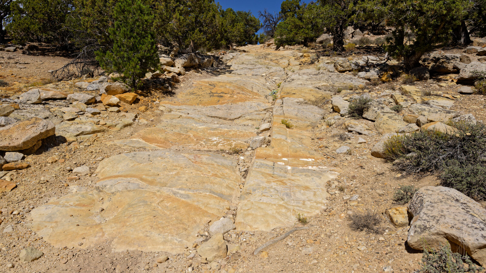 Waypoint 3