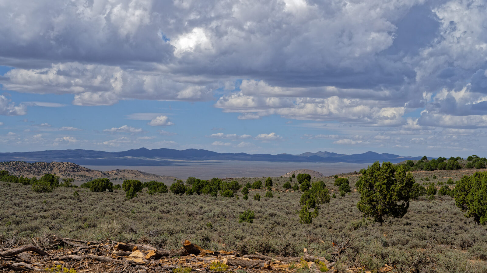 Waypoint 6