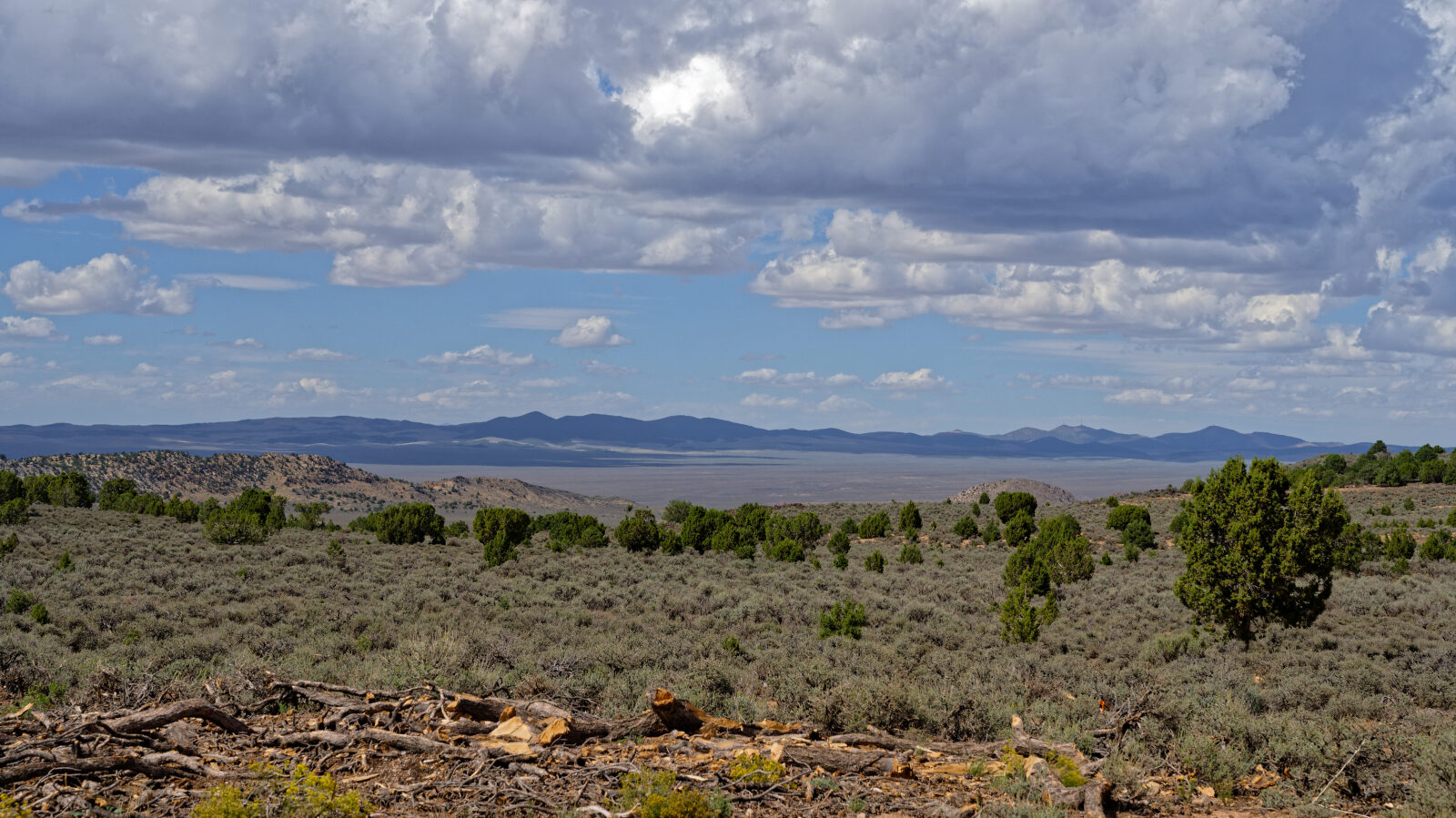 Waypoint 6