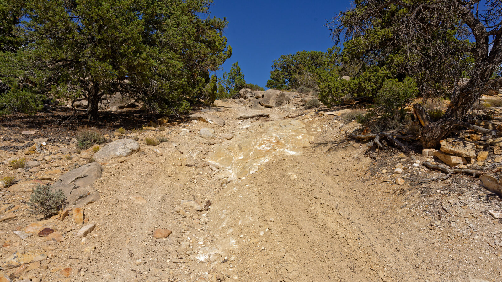Waypoint 3
