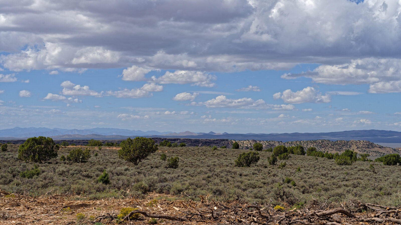 Waypoint 6