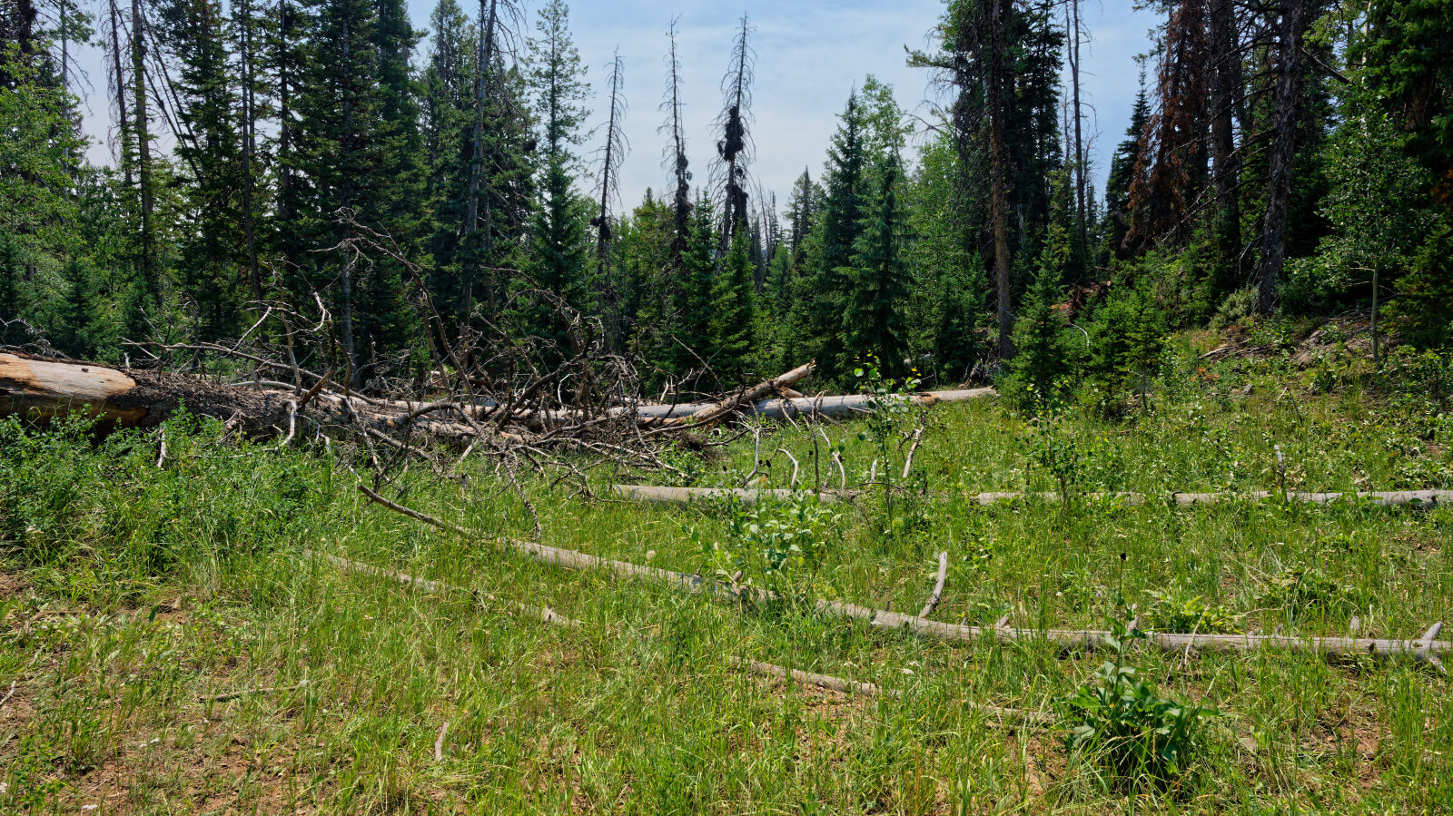 Waypoint 1