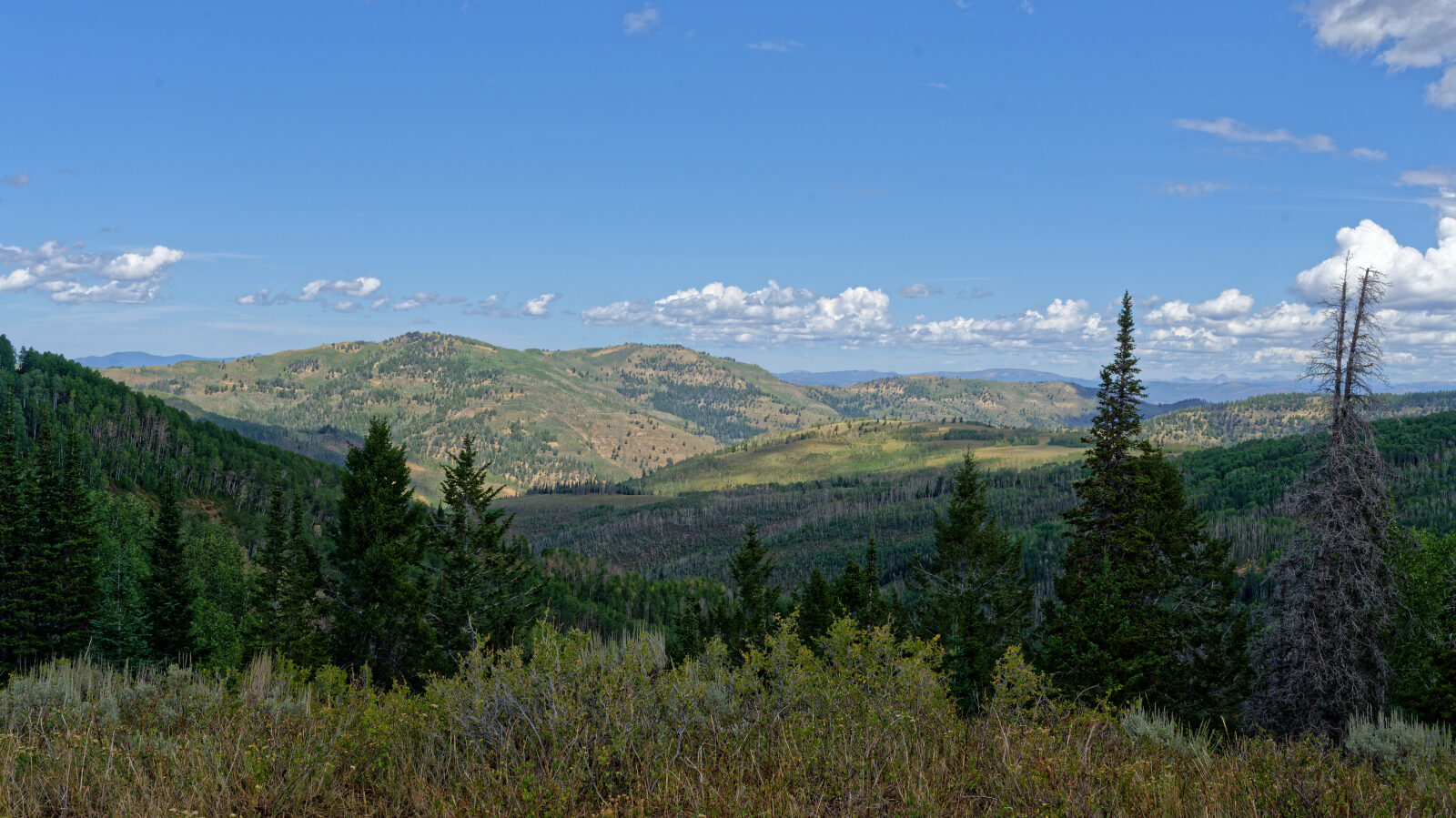 Waypoint 11