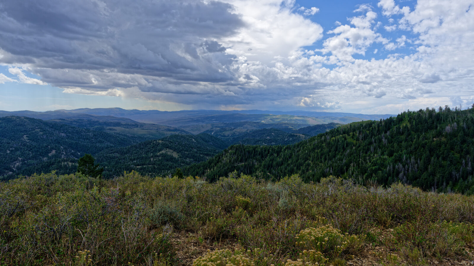 Waypoint 11